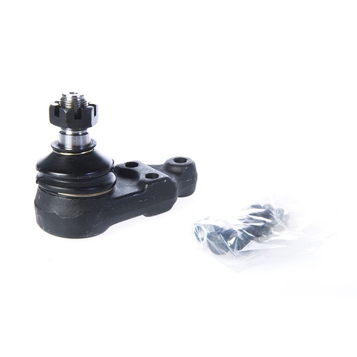 [RE4448] [LCP] ROTULA INF TRANSIT 92>00 21.6mm 3 AGU