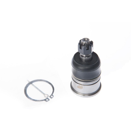 [RE4625] [LCP] ROTULA INF ACCORD 16mm