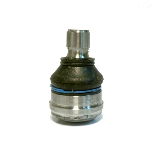 [N11021] [Nakata] ROTULA FIESTA KINETIC